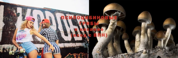 таблы Алексин