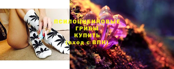 эйфоретик Алексеевка