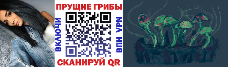 Псилоцибиновые грибы MAGIC MUSHROOMS  где найти   мориарти какой сайт  Ветлуга 