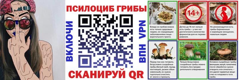 Псилоцибиновые грибы Psilocybine cubensis Ветлуга
